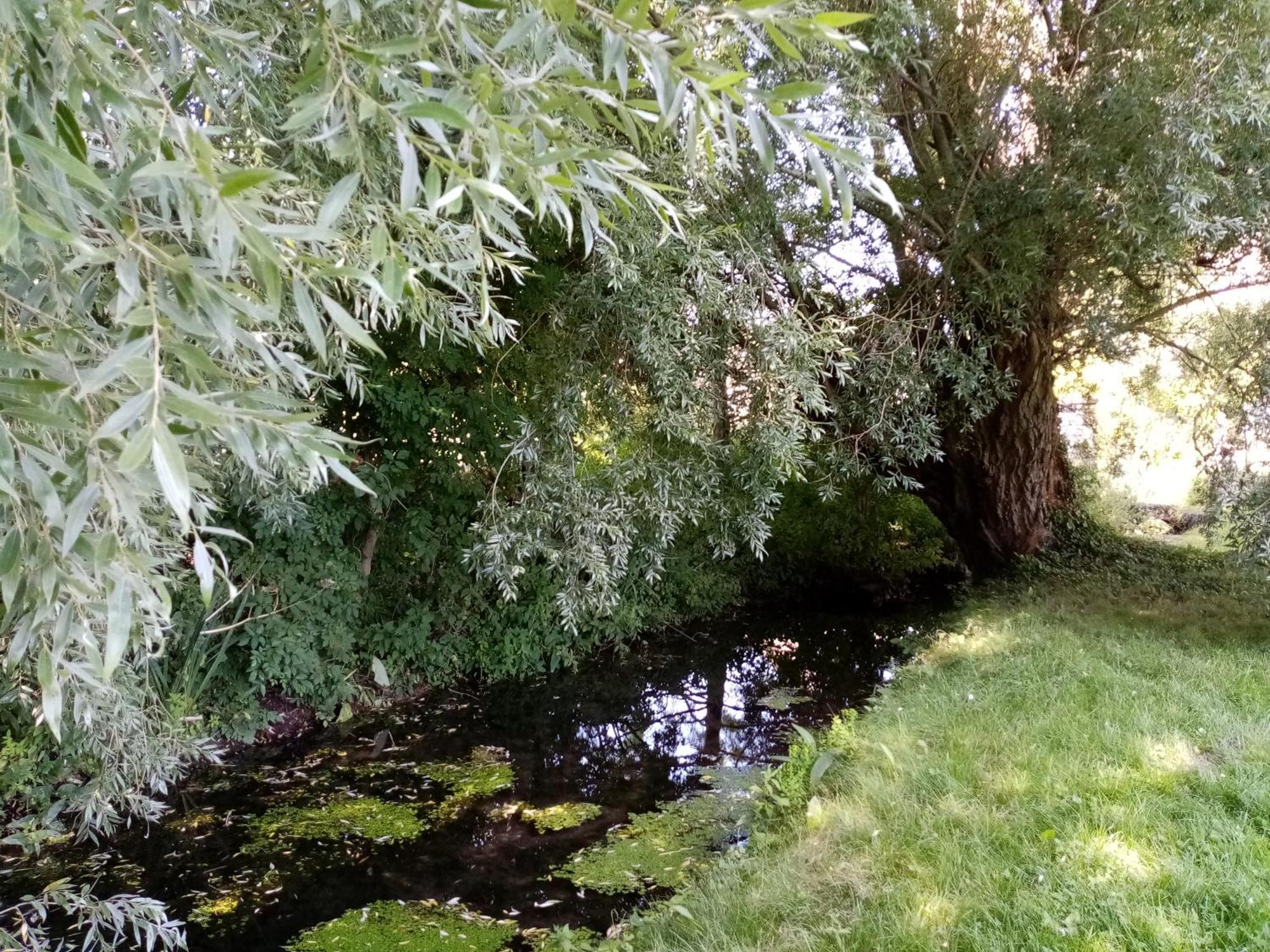 Moulin De Giboudet D'hotes *